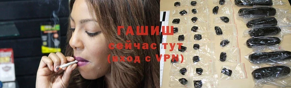 прущие грибы Балахна