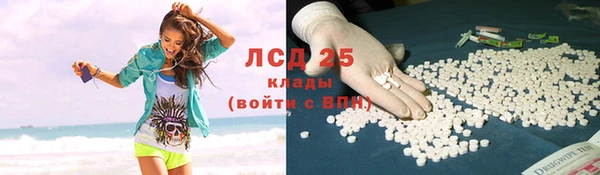 прущие грибы Балахна