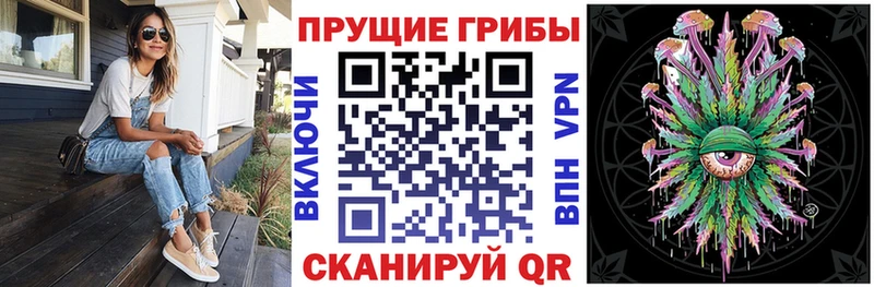 Псилоцибиновые грибы GOLDEN TEACHER  Шелехов 